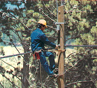 Tendidos elctricos y Telefnicos